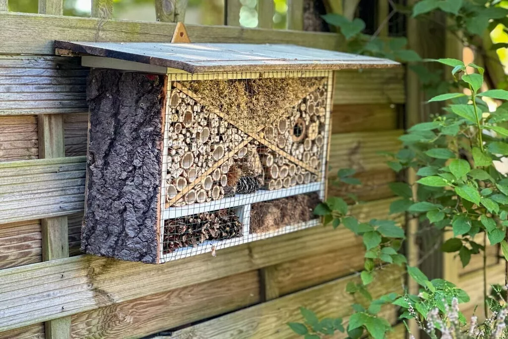 345954-Nicht zugeordnet