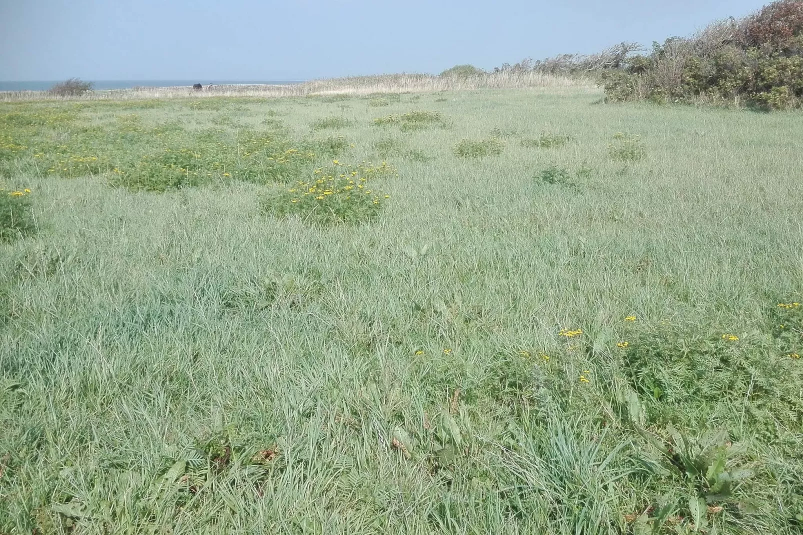 Maison de vacances pour 7 a Bredebro-By Traum-Non tagué