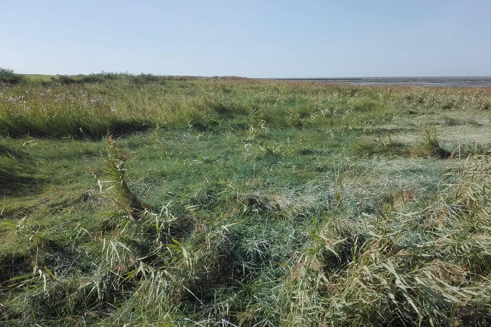 Maison de vacances pour 7 a Bredebro-By Traum-Non tagué