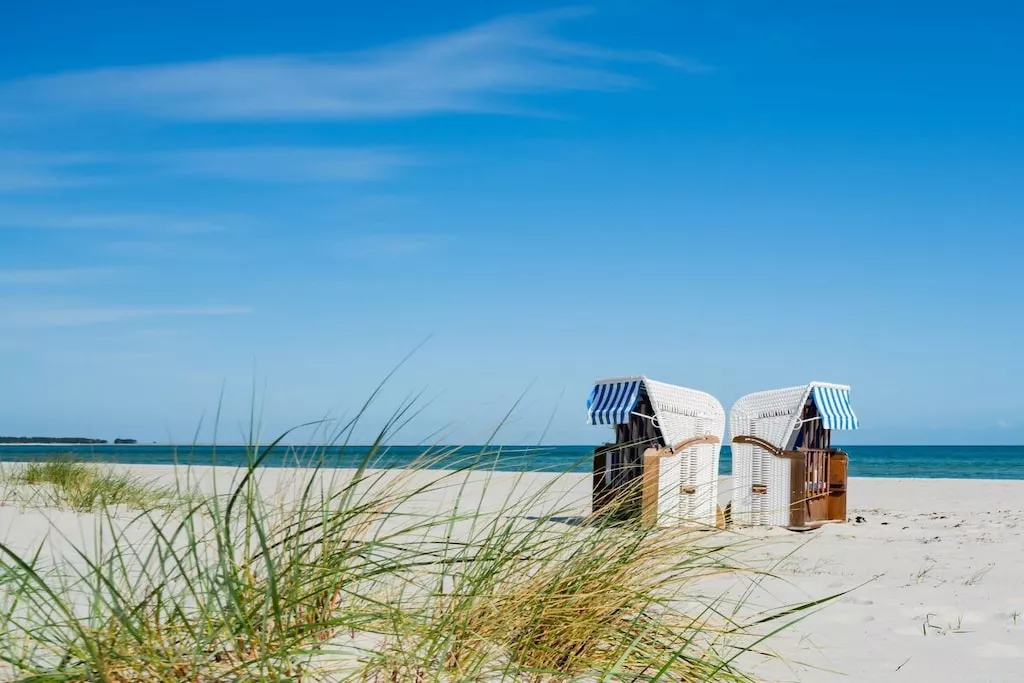 48986-Nicht zugeordnet