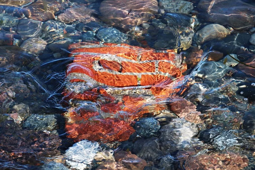 130956-Nicht zugeordnet