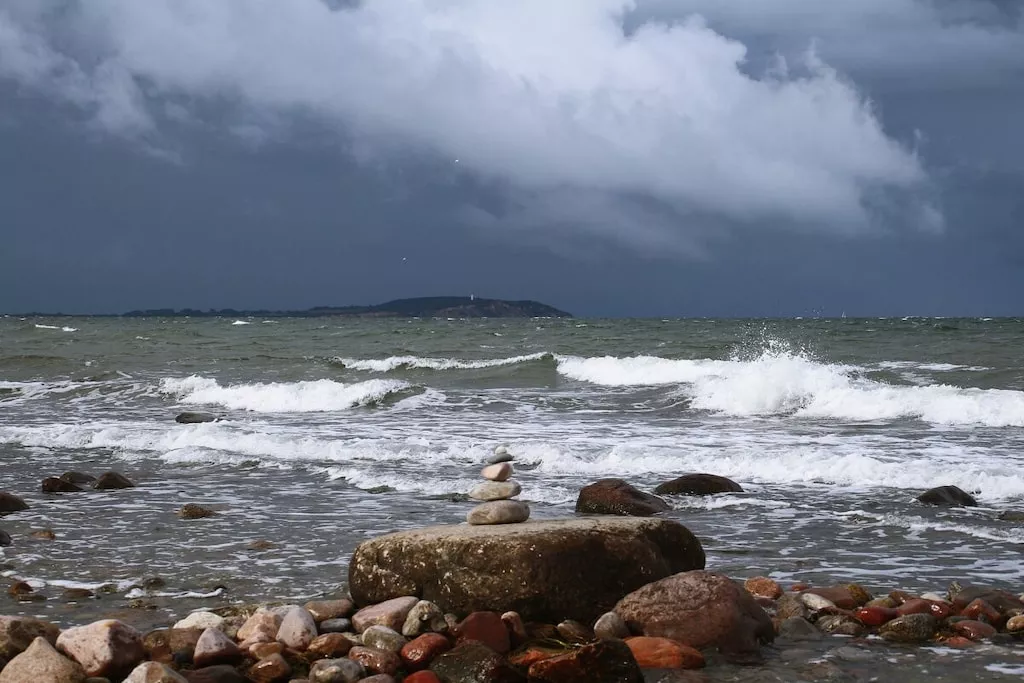 295768-Nicht zugeordnet