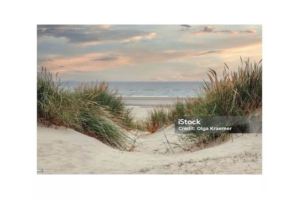 561527-Nicht zugeordnet