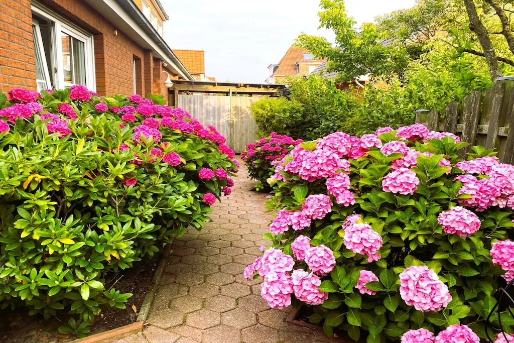 581070-Nicht zugeordnet