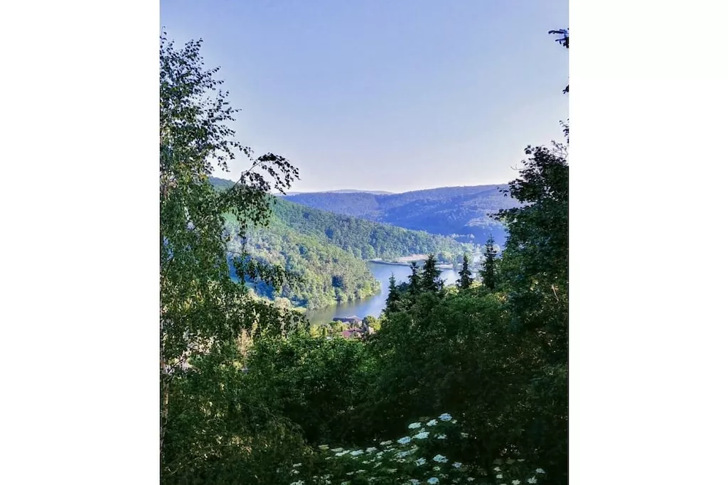 491906-Nicht zugeordnet