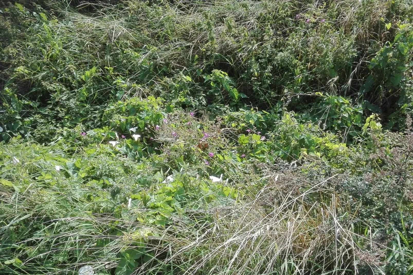 Maison de vacances pour 7 a Bredebro-By Traum-Non tagué