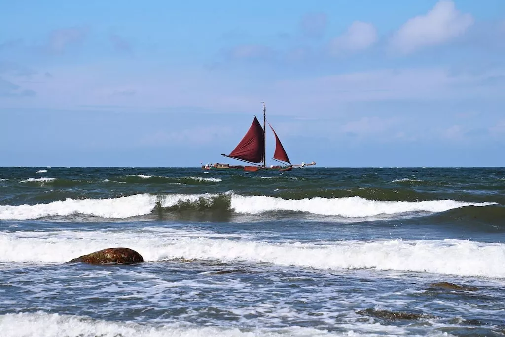 295768-Nicht zugeordnet