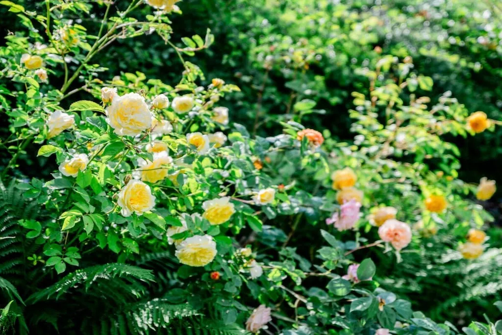 28973-Nicht zugeordnet