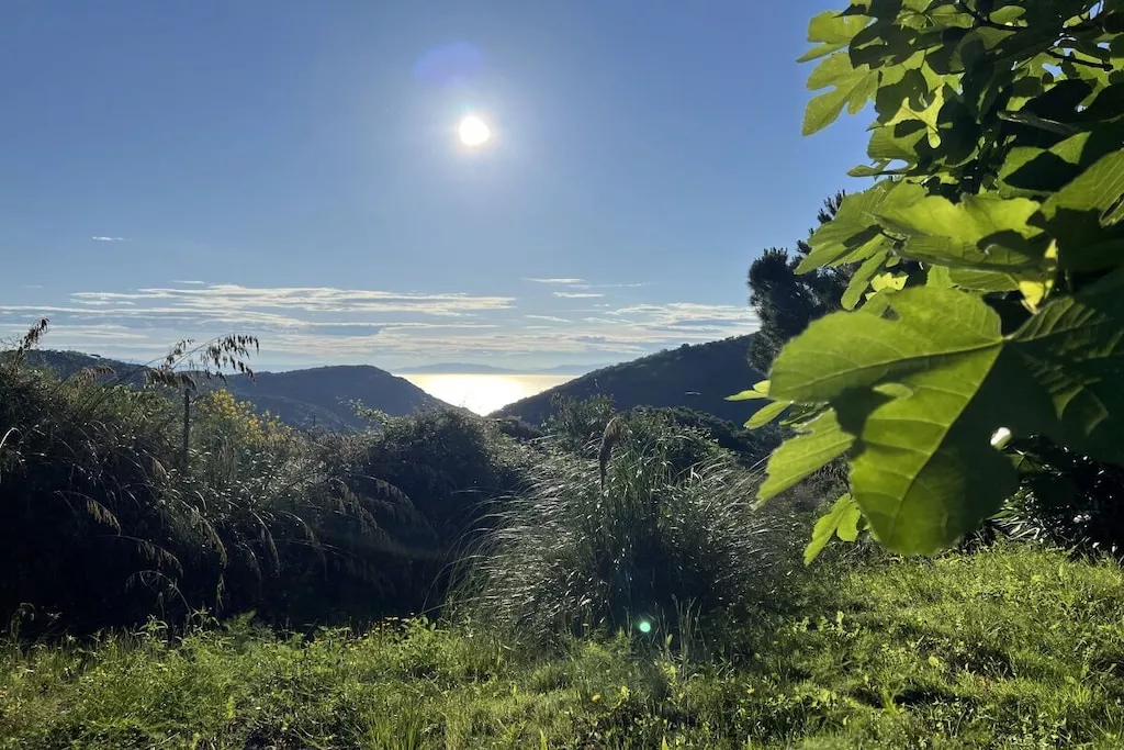 226226-Nicht zugeordnet