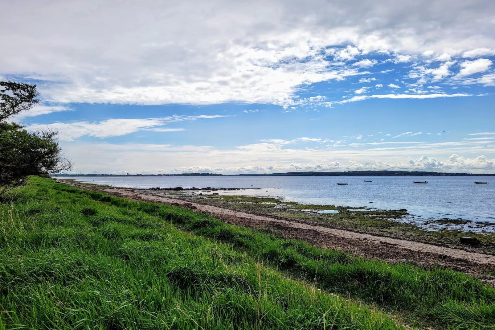 8 person holiday home in Ølsted-By Traum-Water view