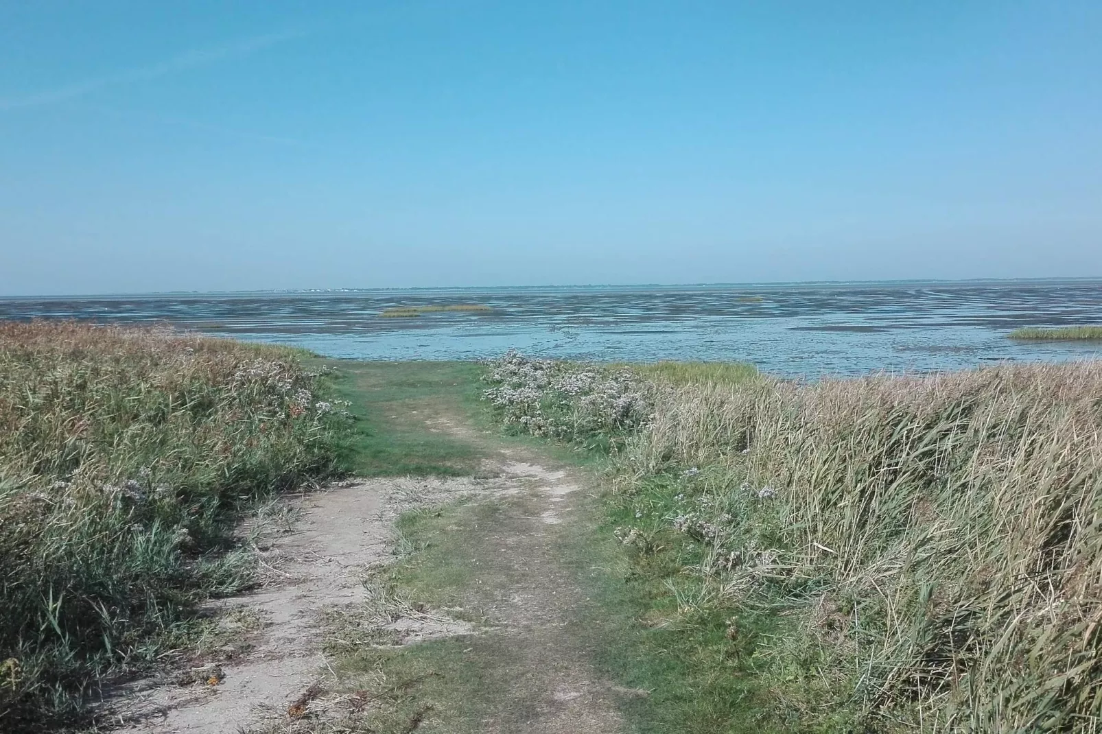 7 Personen Ferienhaus in Bredebro-By Traum