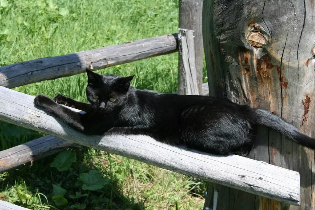 31143-Nicht zugeordnet