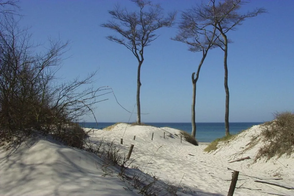 48986-Nicht zugeordnet