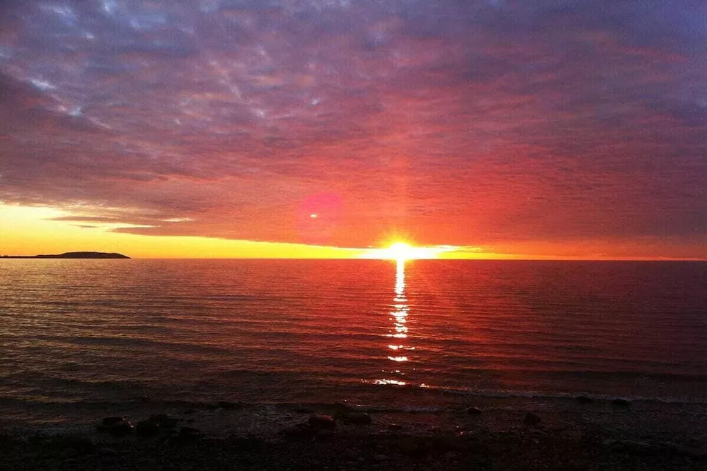 295768-Nicht zugeordnet