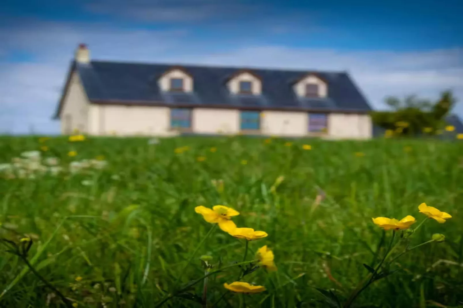 High Cloud Farm & Barn-Exterior in summer