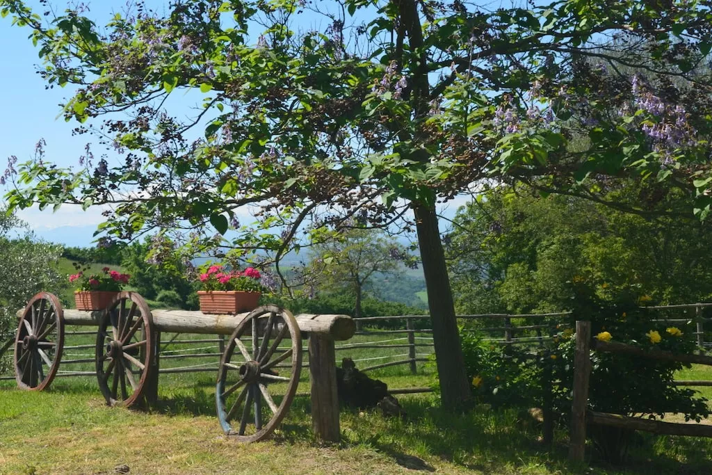 633964-Nicht zugeordnet