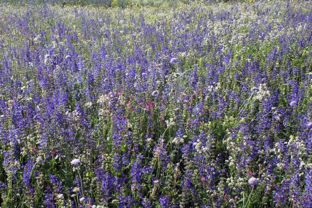 31143-Nicht zugeordnet