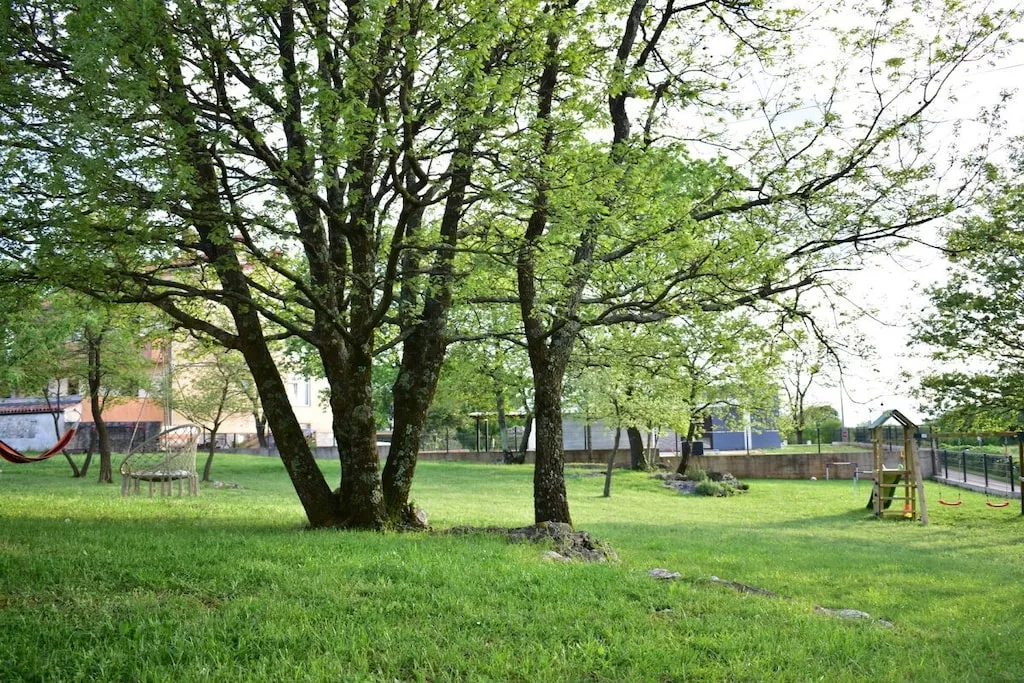 612351-Nicht zugeordnet