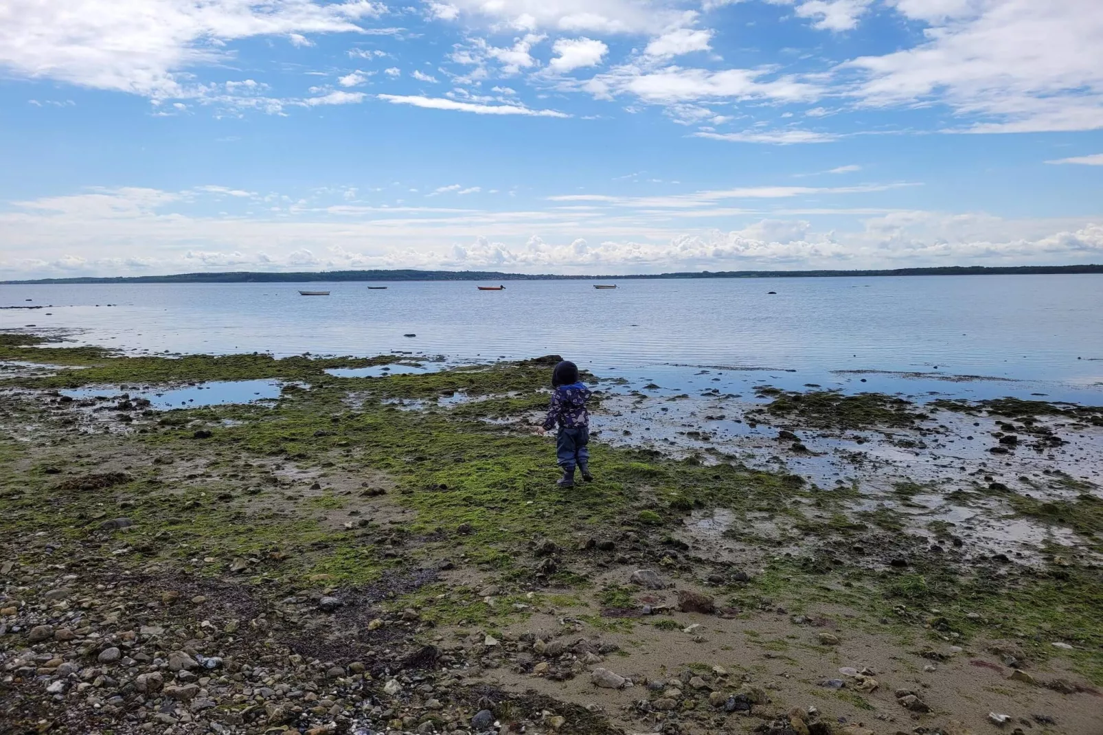 8 person holiday home in Ølsted-By Traum-Water view