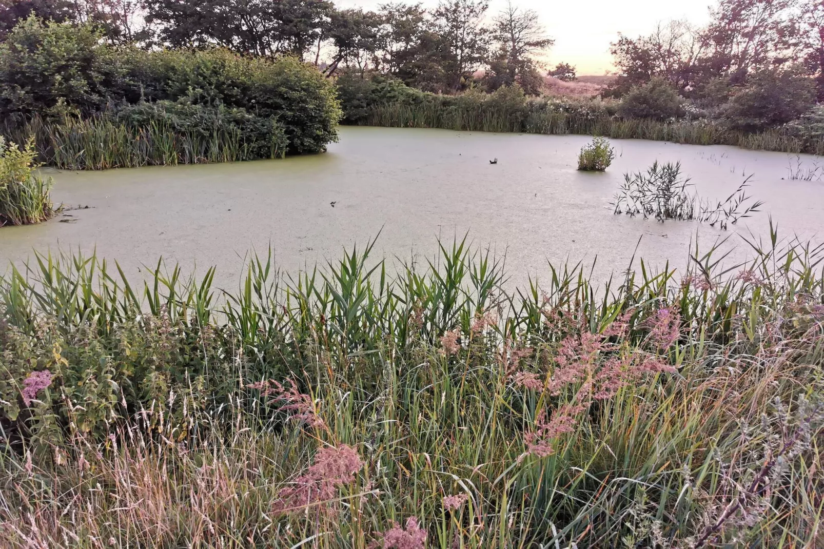 Maison de vacances pour 6 a Frederikshavn-By Traum-Vue sur l'eau