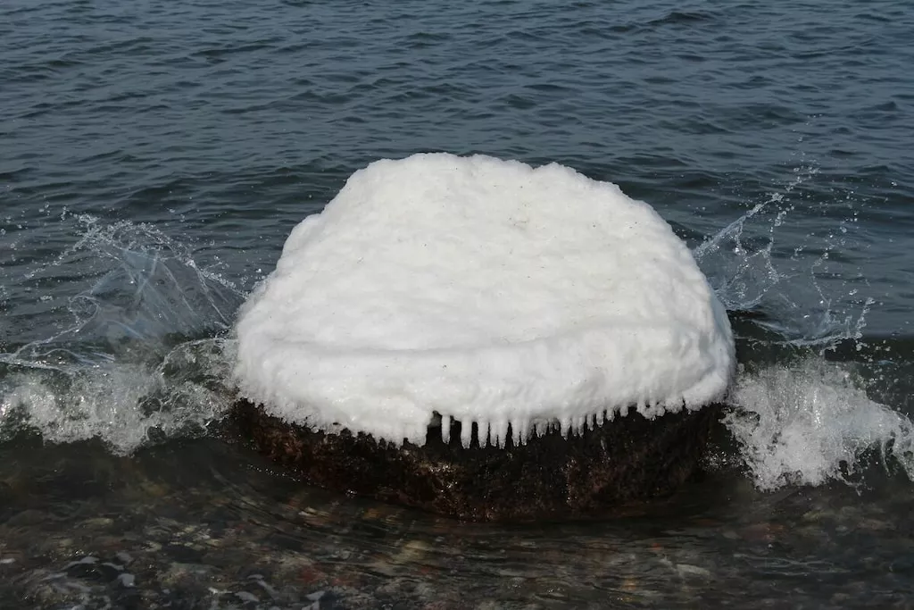 295768-Nicht zugeordnet