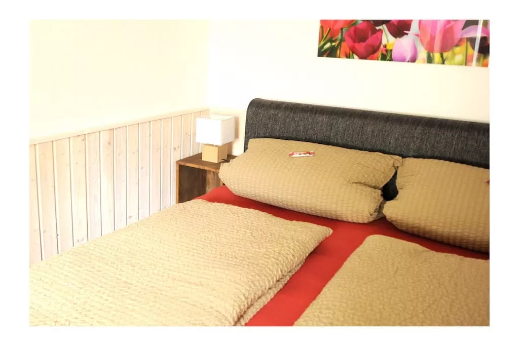 254647-Nicht zugeordnet