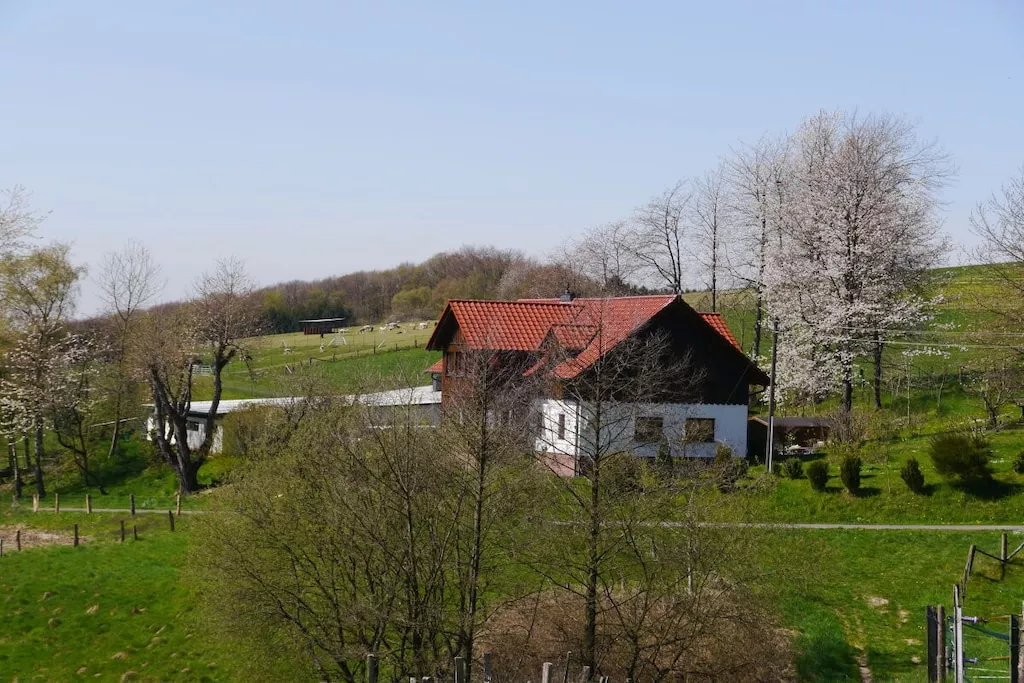 479153-Nicht zugeordnet