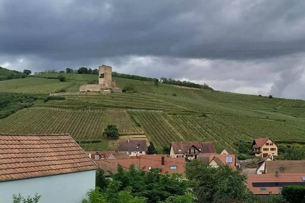 605956-Nicht zugeordnet