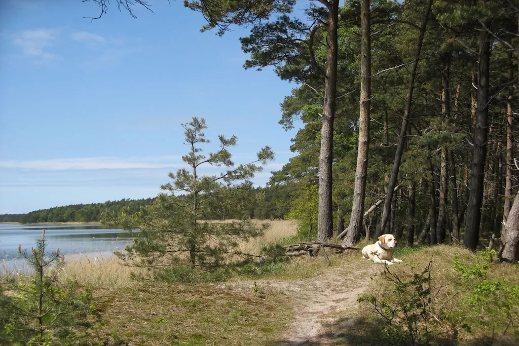 62971-Nicht zugeordnet