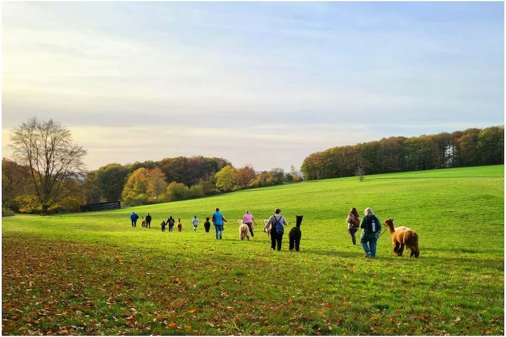 479153-Nicht zugeordnet