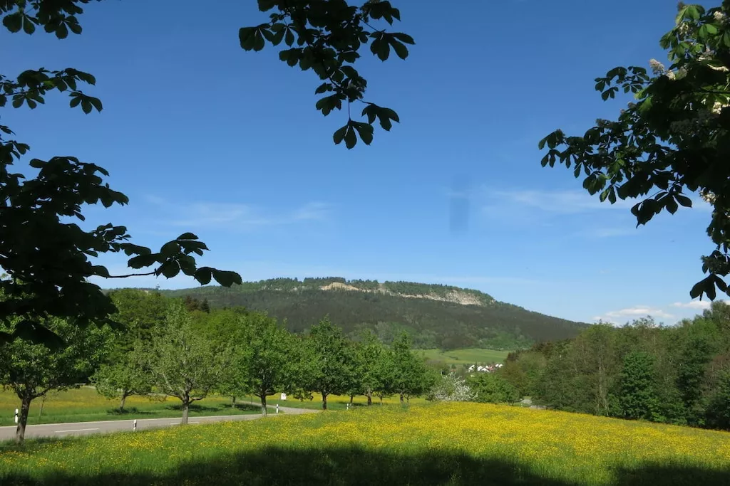 13478-Nicht zugeordnet