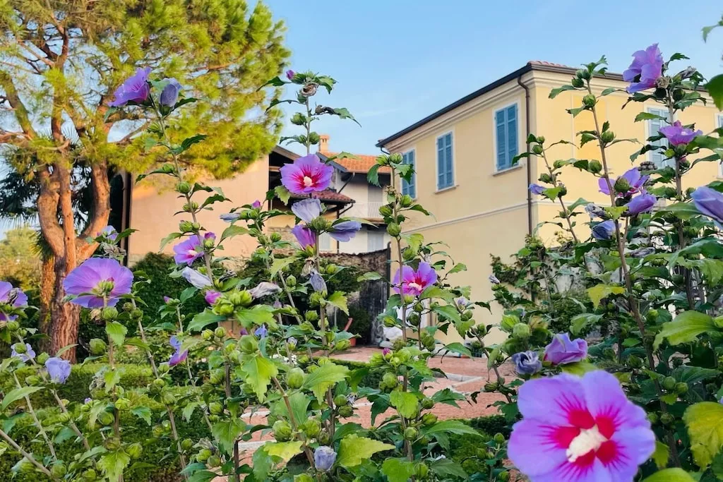 580187-Nicht zugeordnet