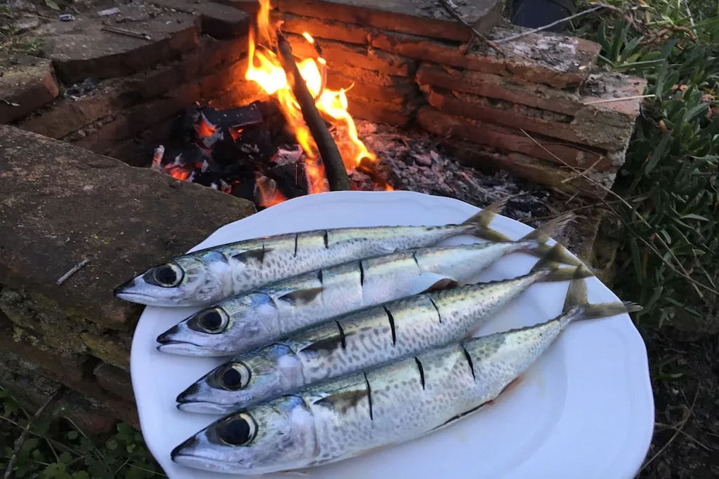 226226-Nicht zugeordnet