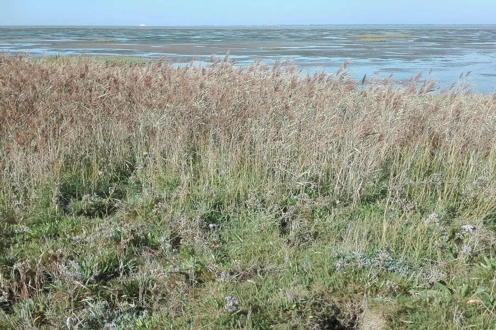 Maison de vacances pour 7 a Bredebro-By Traum-Vue sur l'eau
