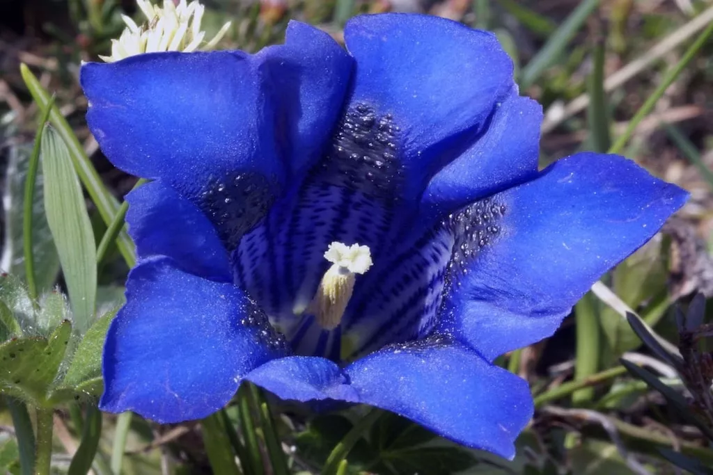 31143-Nicht zugeordnet