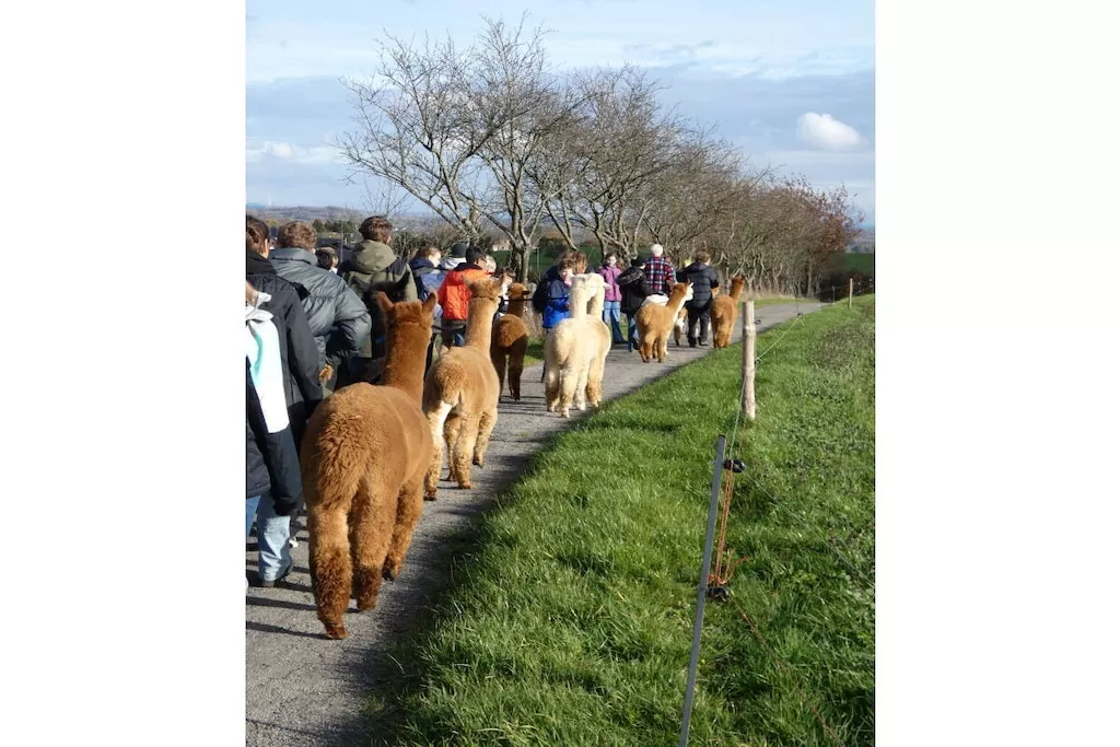 479153-Nicht zugeordnet