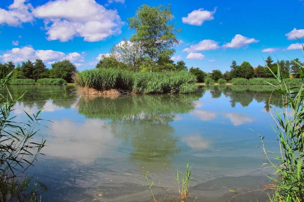 13478-Nicht zugeordnet