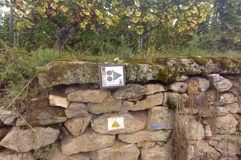 605956-Nicht zugeordnet