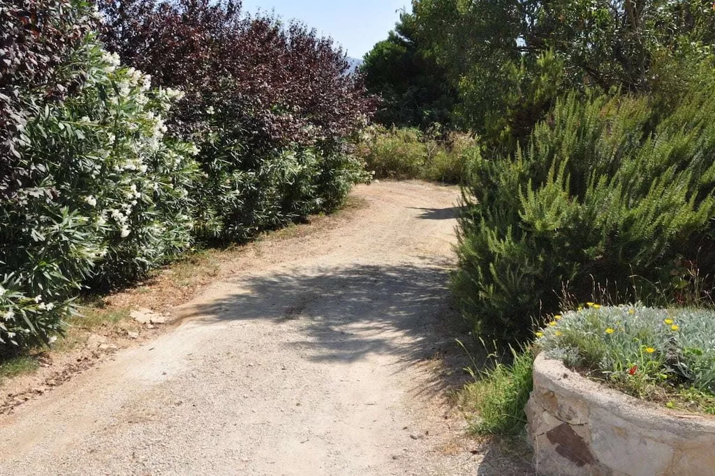 226226-Nicht zugeordnet