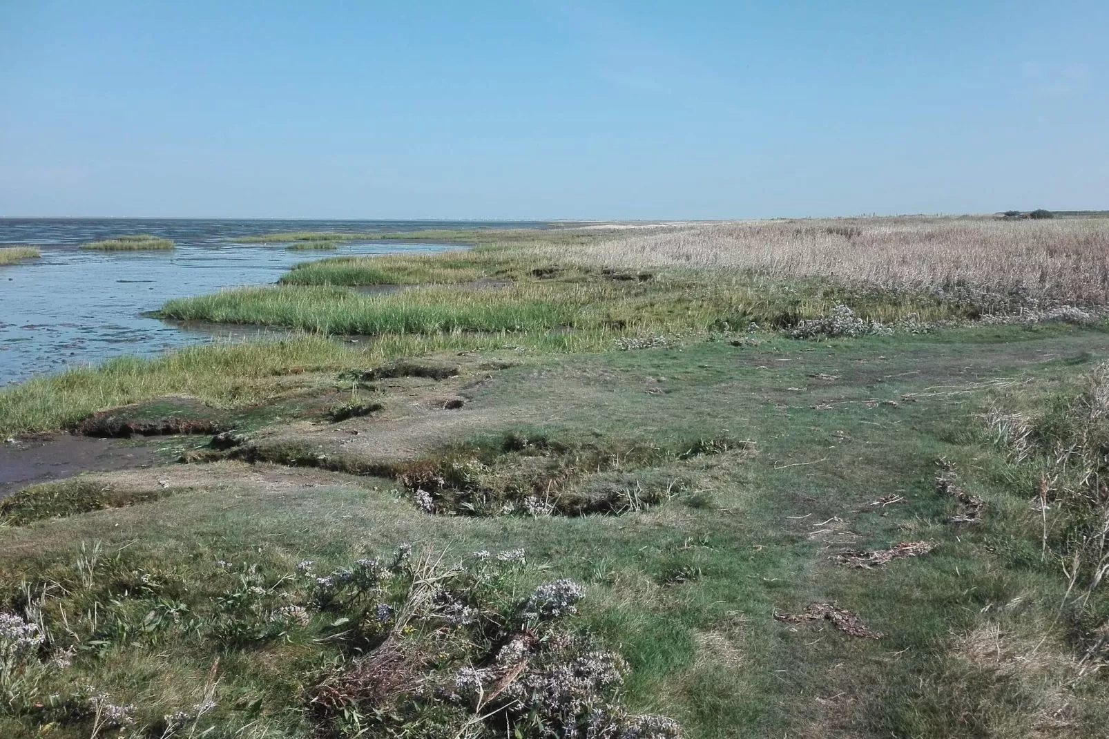 Maison de vacances pour 7 a Bredebro-By Traum-Vue sur l'eau