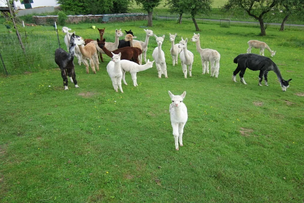 479153-Nicht zugeordnet