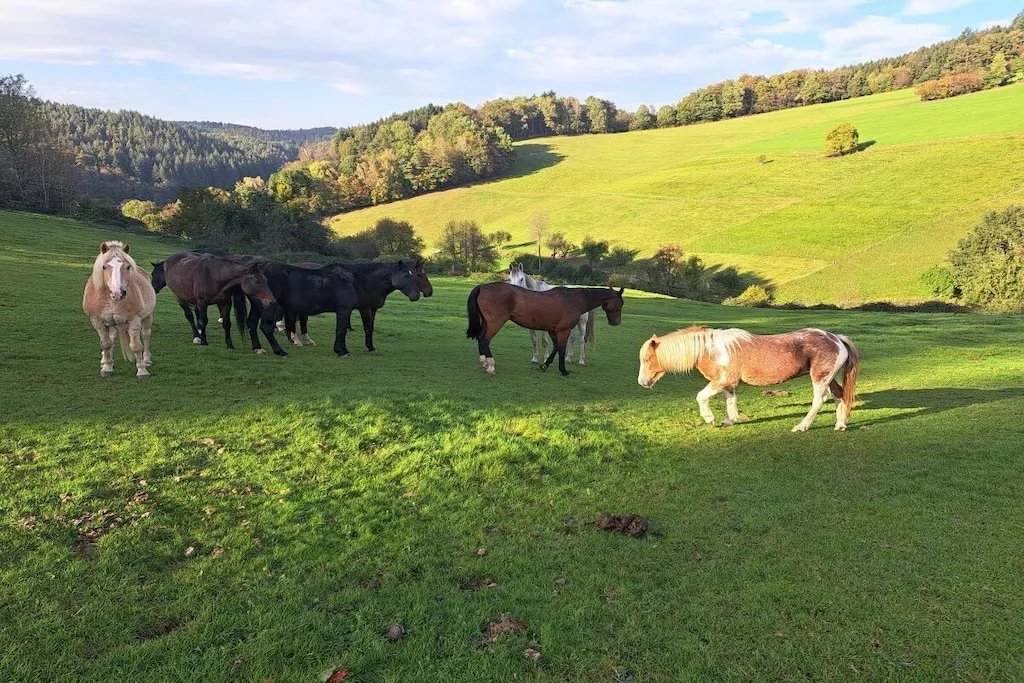 478264-Nicht zugeordnet