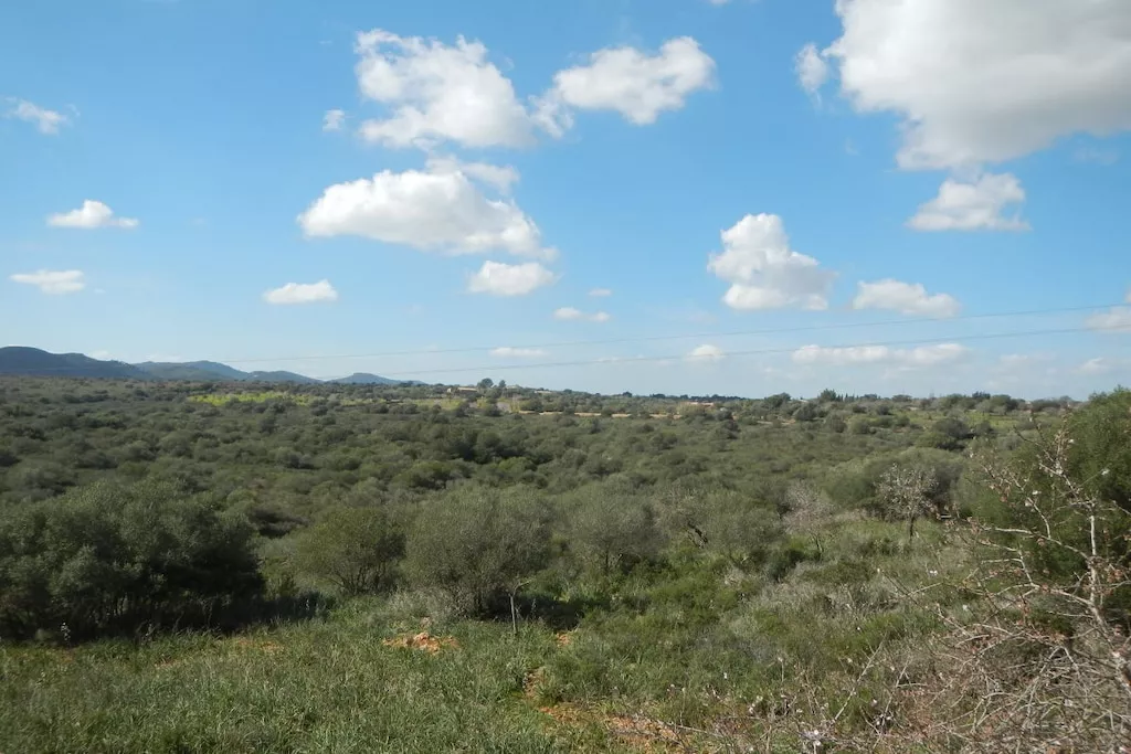 271155-Nicht zugeordnet