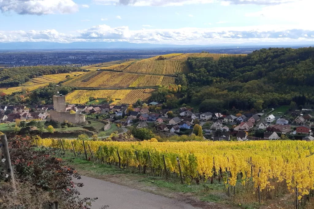 605956-Nicht zugeordnet