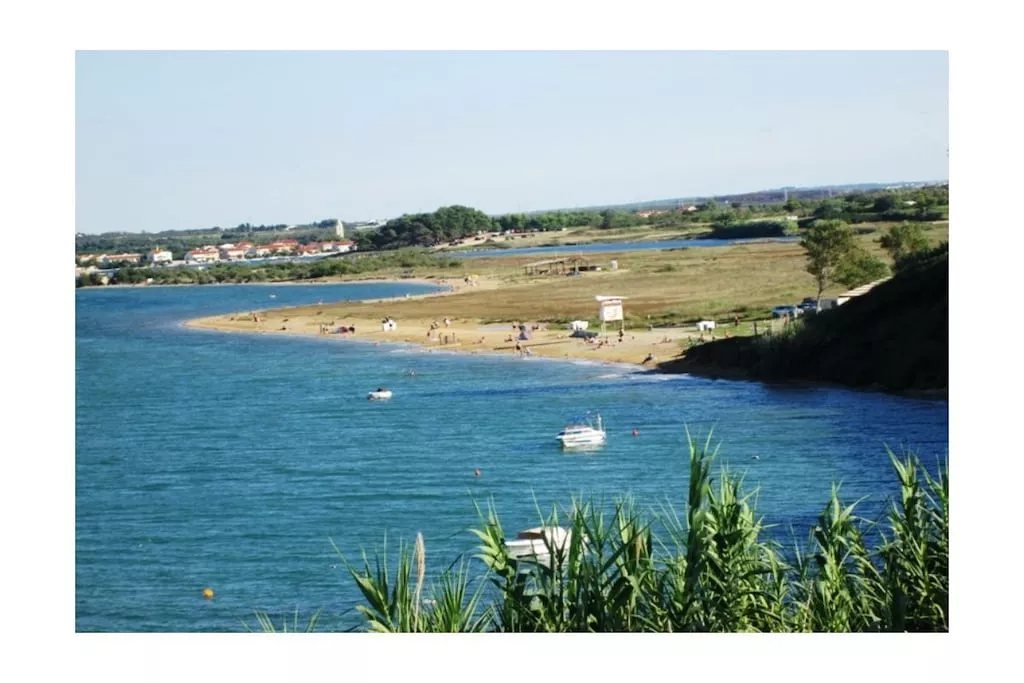 259223-Nicht zugeordnet