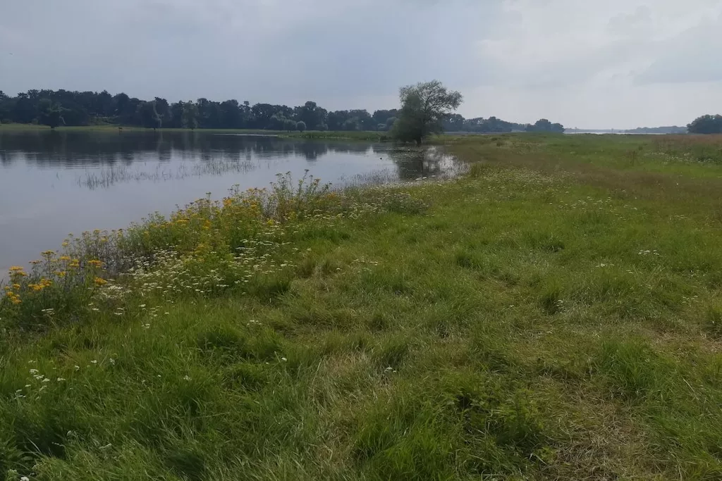 345954-Nicht zugeordnet