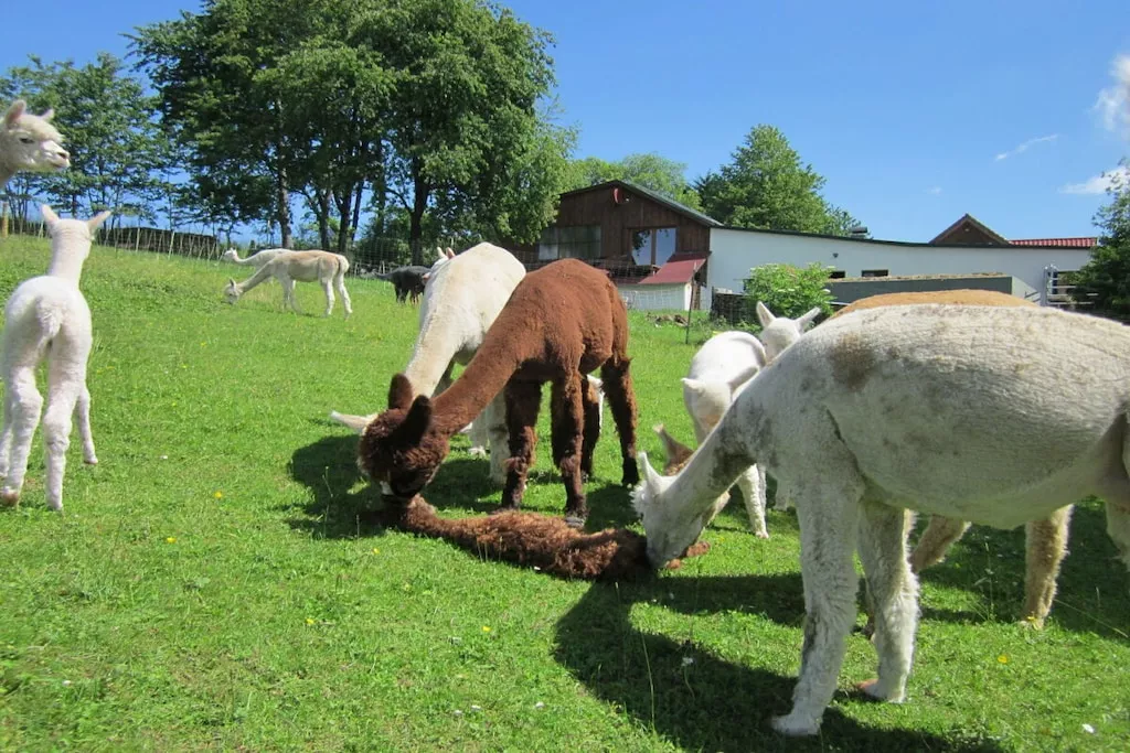 479153-Nicht zugeordnet