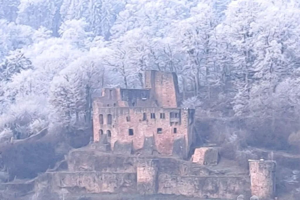 478264-Nicht zugeordnet