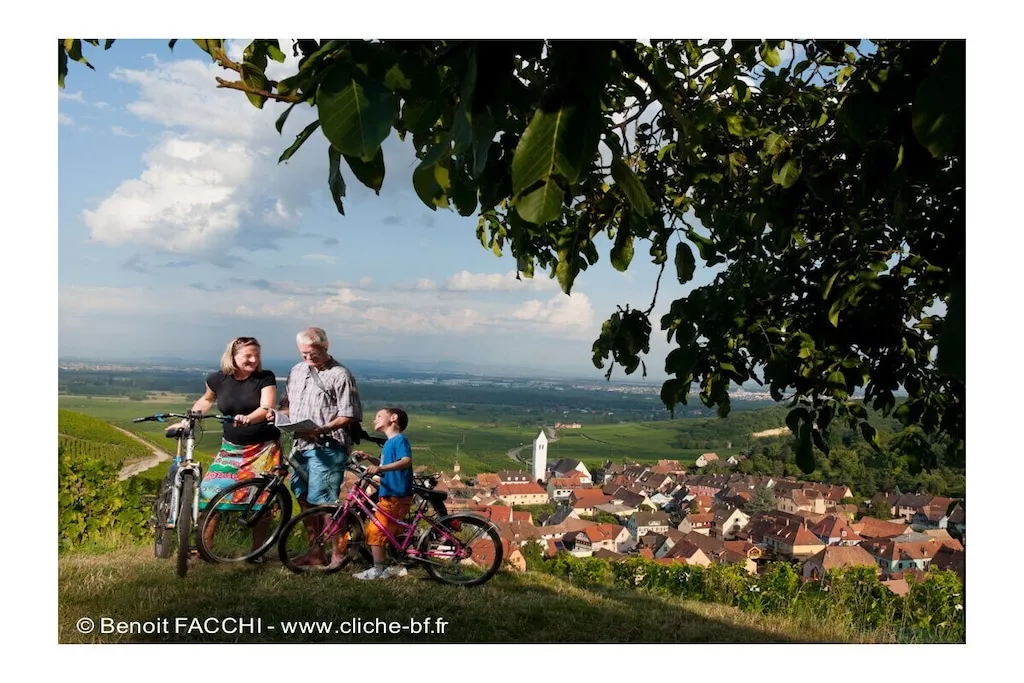 605956-Nicht zugeordnet