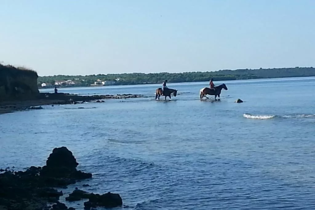 259223-Nicht zugeordnet